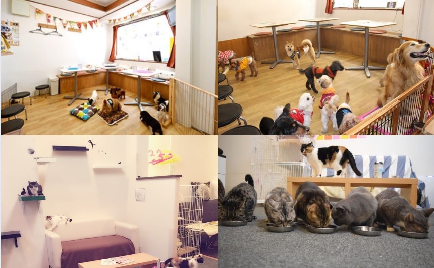 スクリーンショット 2025-12-08 144404.jpg