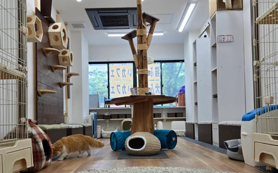 スクリーンショット 2025-12-02 174431.jpg