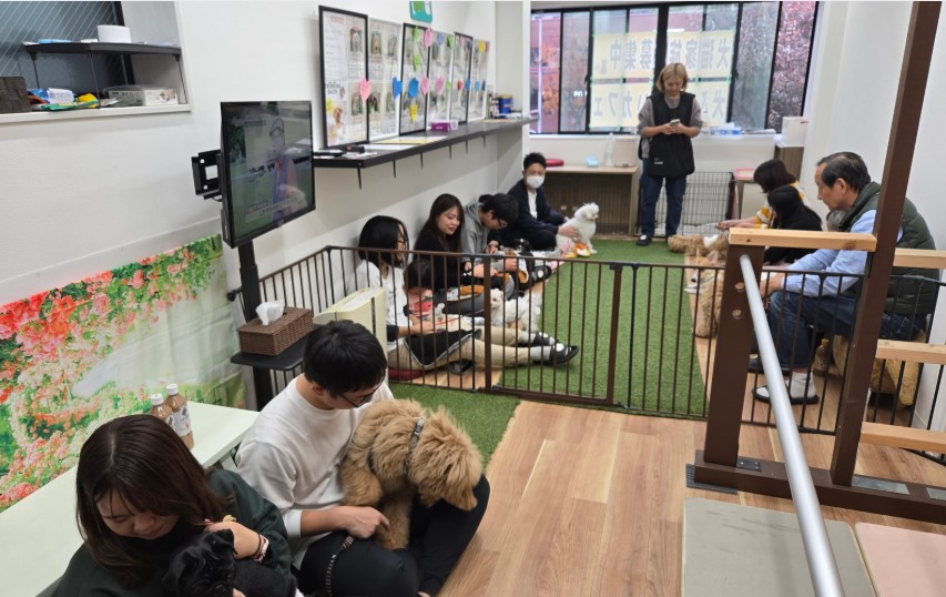 スクリーンショット 2025-12-02 170750.jpg