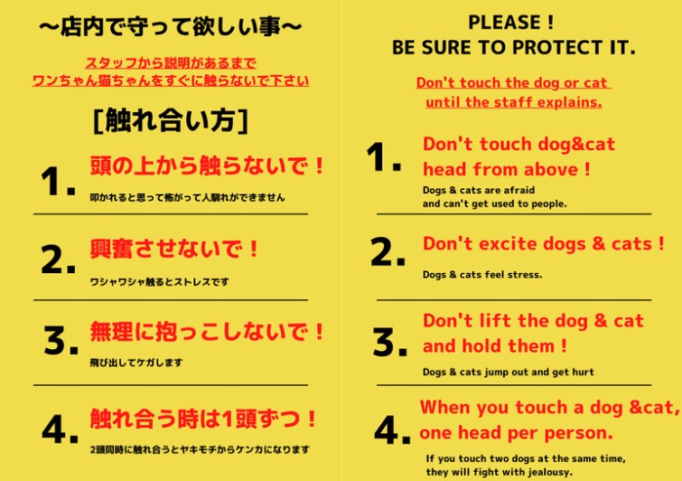 スクリーンショット 2025-12-15 160426.jpg