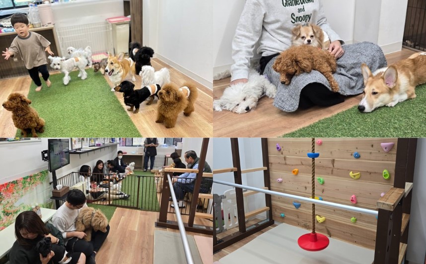 スクリーンショット 2025-12-08 144743.jpg