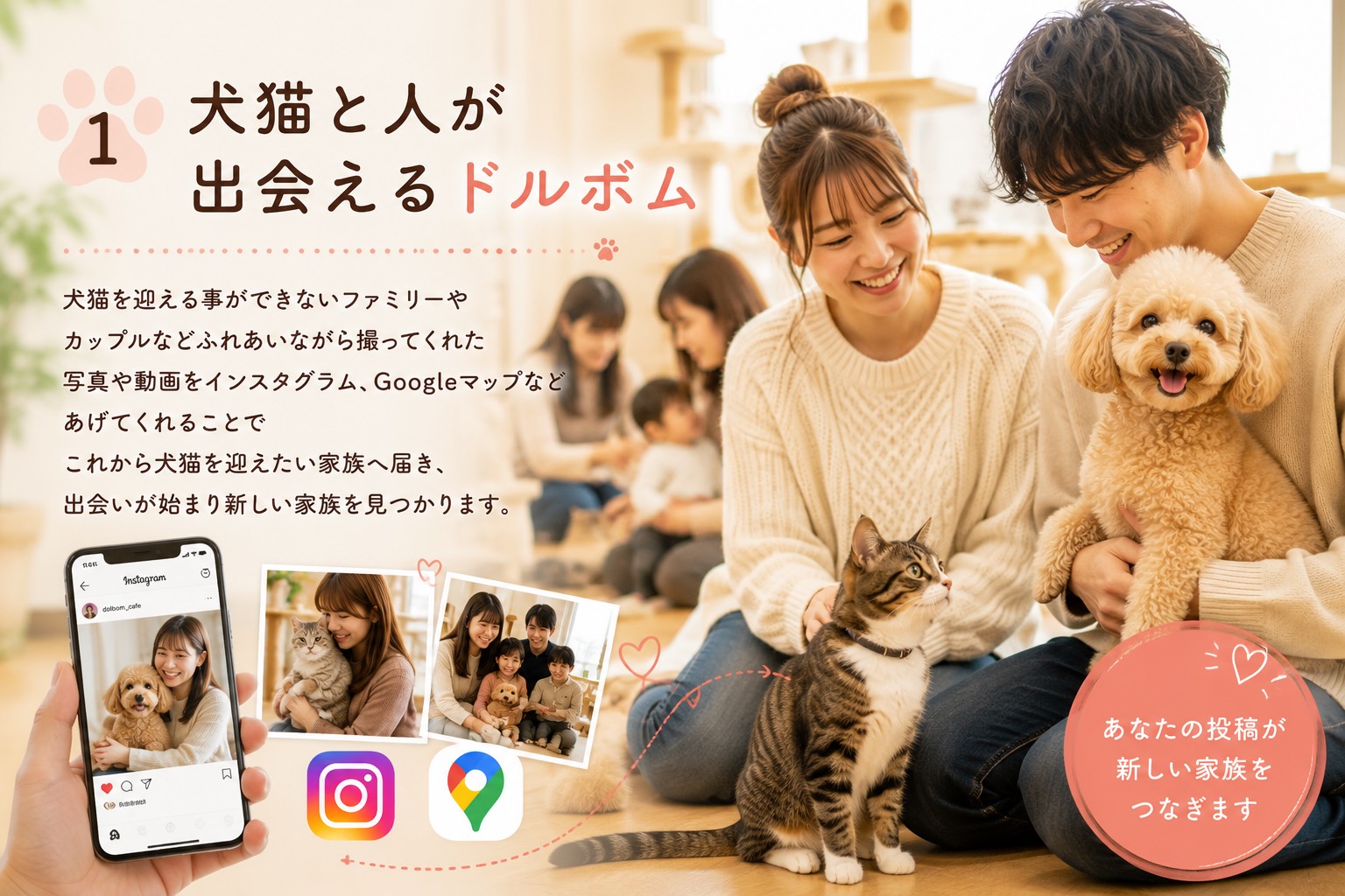 S__15958064.jpg