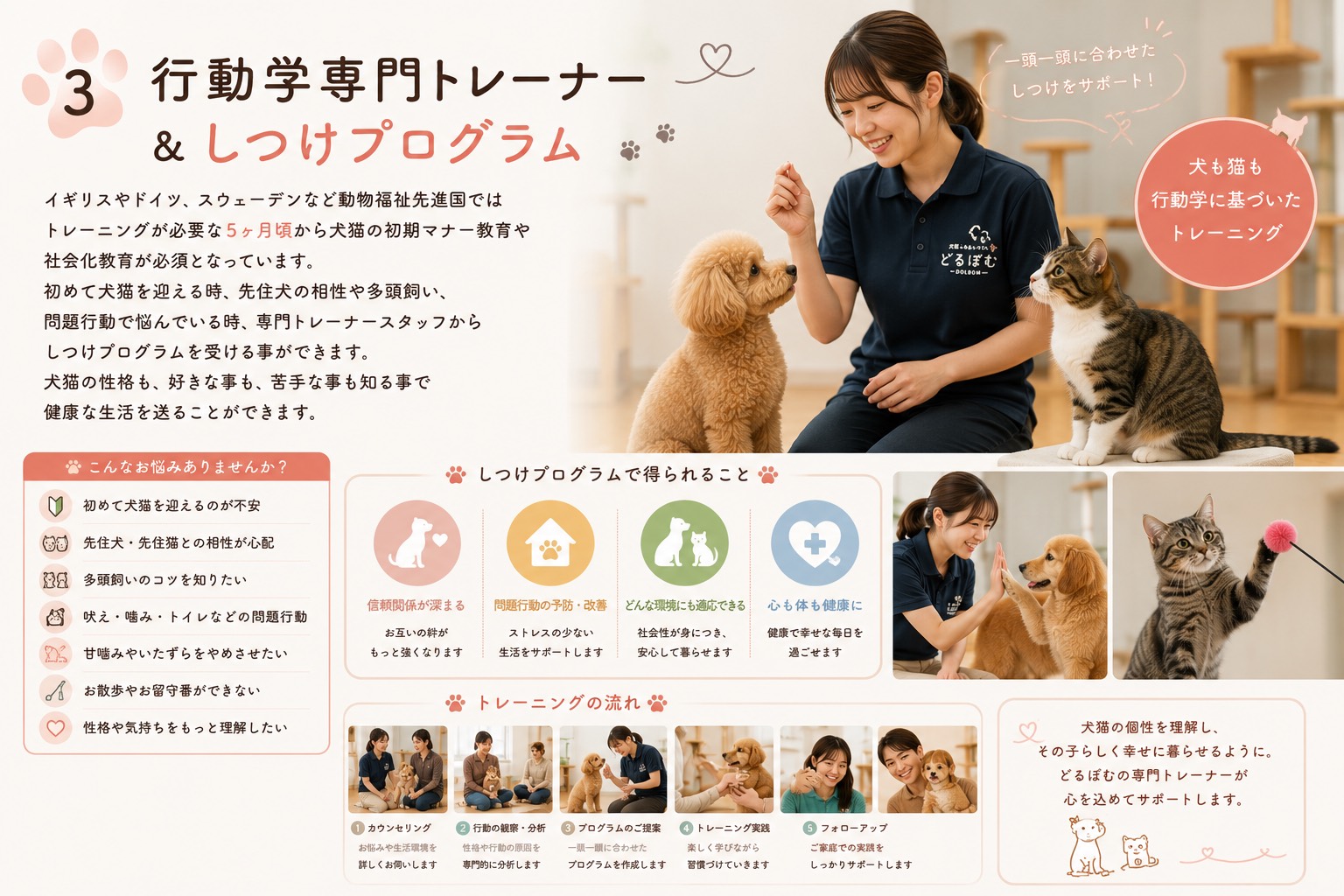 S__15958070.jpg