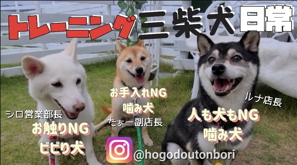 犬ふれあいカフェdolbom